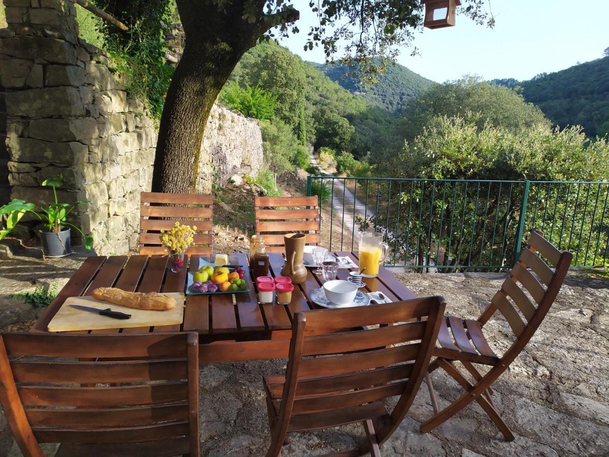 Chambre Cevennes: Piscine, Lamas, Riviere Cros  Luaran gambar
