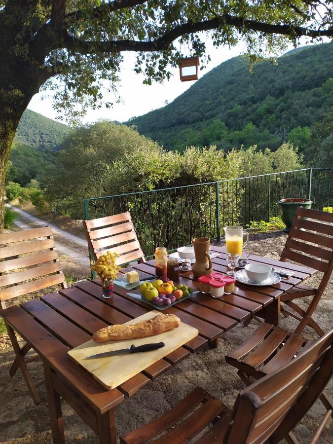 Chambre Cevennes: Piscine, Lamas, Riviere Cros  Luaran gambar
